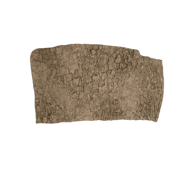 A picture of a tree bark concrete stamp for sale with the image background cutout.